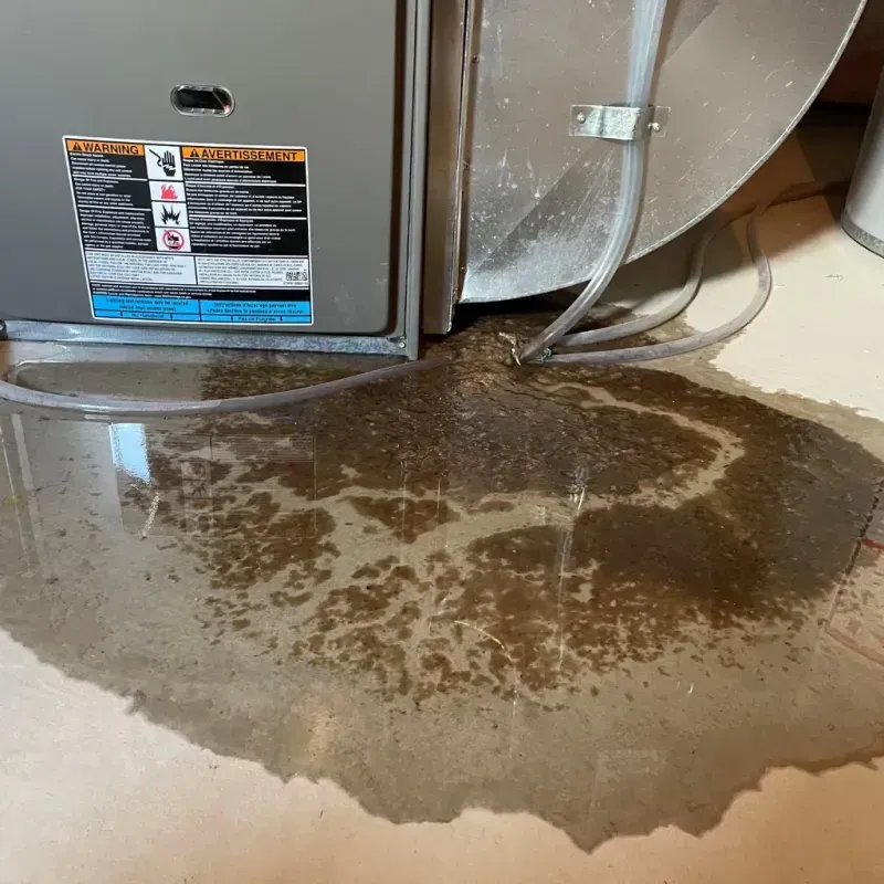 Appliance Leak Cleanup in Independence, KY